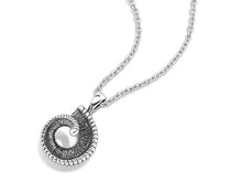 Load image into Gallery viewer, Bighorn Sheep Horn Necklace