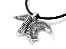 Load image into Gallery viewer, Bighorn Sheep Horn Necklace