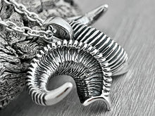 Load image into Gallery viewer, Bighorn Sheep Horn Necklace