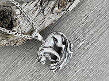 Load image into Gallery viewer, Mountain Lion Necklace