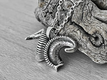 Load image into Gallery viewer, Bighorn Sheep Horn Necklace