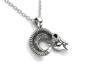 Bighorn Sheep Skull Necklace