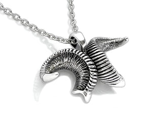 Bighorn Sheep Horn Necklace